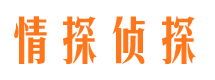 阳谷侦探公司